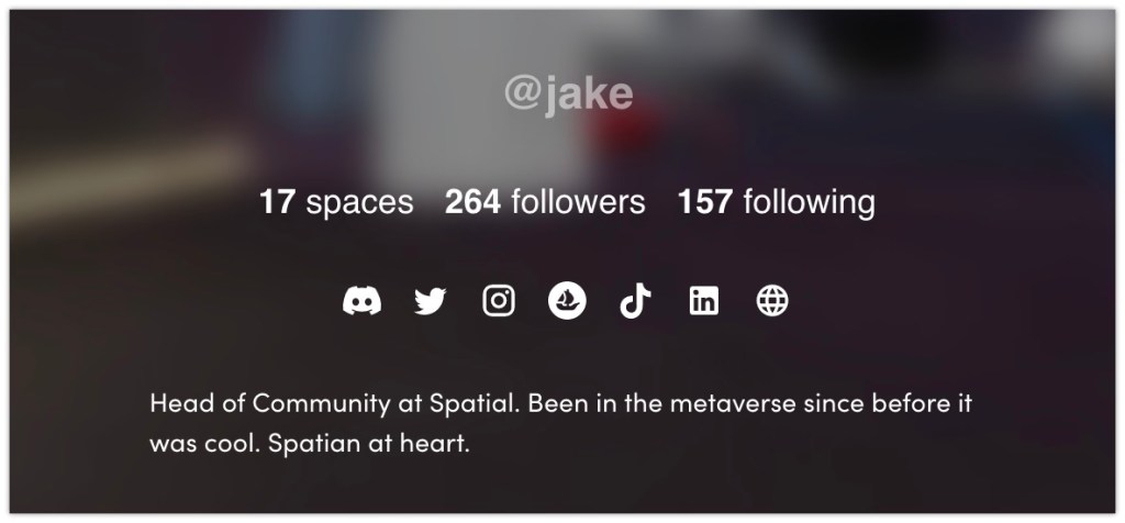 Viewing a profile of a user on Spatial.io